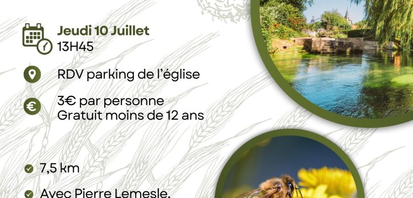Rando découverte des ruches et de l'abeille noire