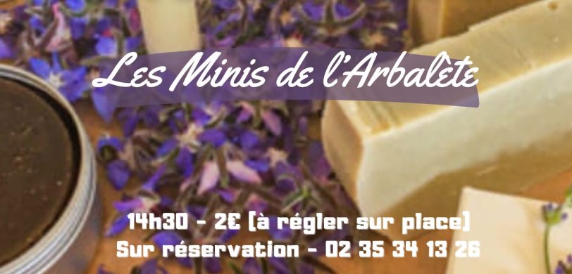 Mercredi savoir faire : visite des Minis de l'Arbalète