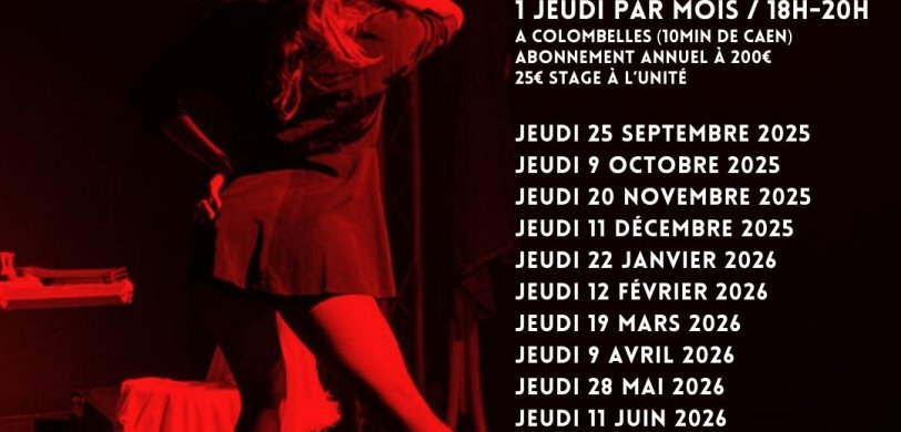 Stage de danse cabaret débutant