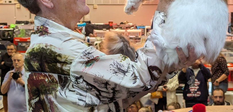 Exposition féline internationale