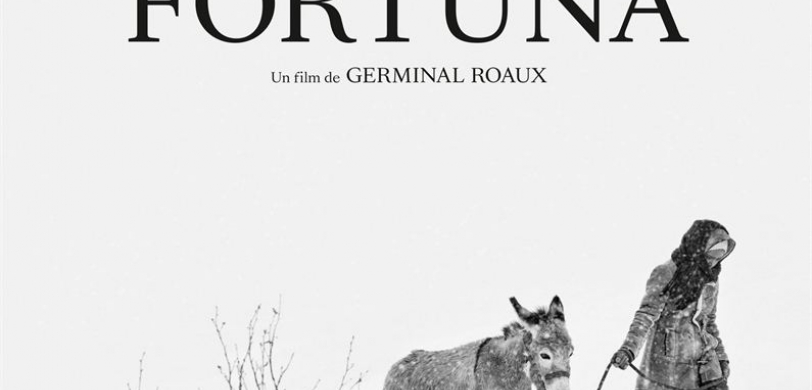MIGRANT'SCENE festival de la CIMADE en partenariat avec le cinéma LE REX de SEES
