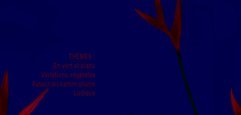 EXPOSITION D'ART FLORAL