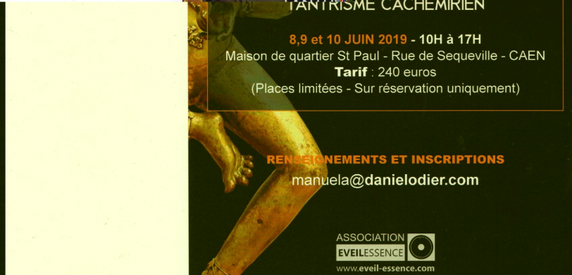 Stage yoga cachemirien avec Daniel ODIER