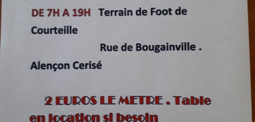Vide-grenier