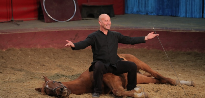 Spectacle équestre du Vargas Show
