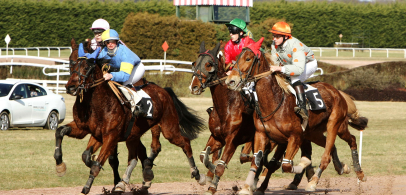 Courses Hippique 