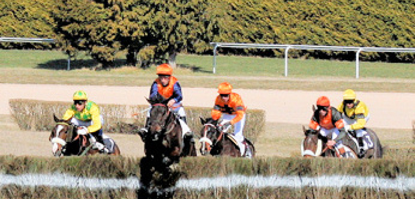 Courses Hippique 