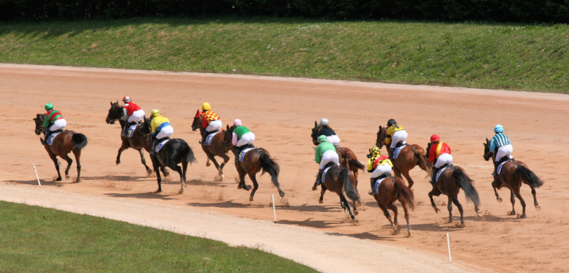 Courses Hippique 