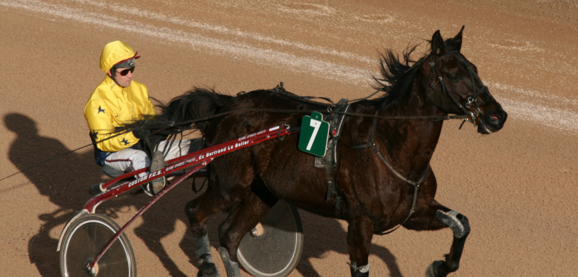 Courses Hippique 