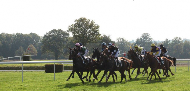 Courses Hippique 