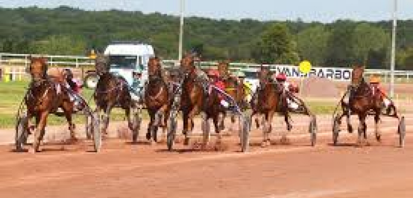 Courses Hippique 