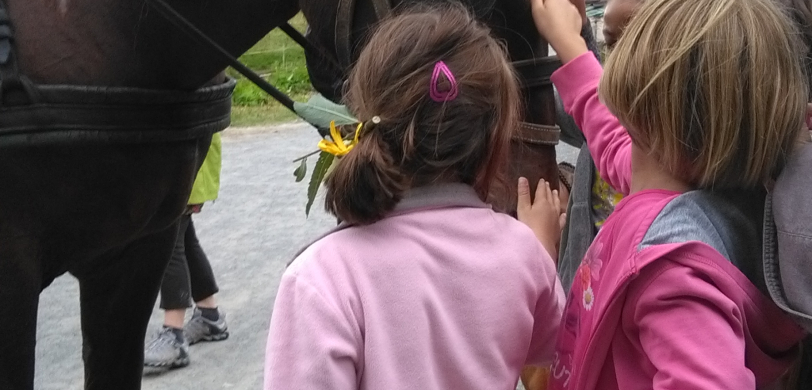 Balade en calèche
