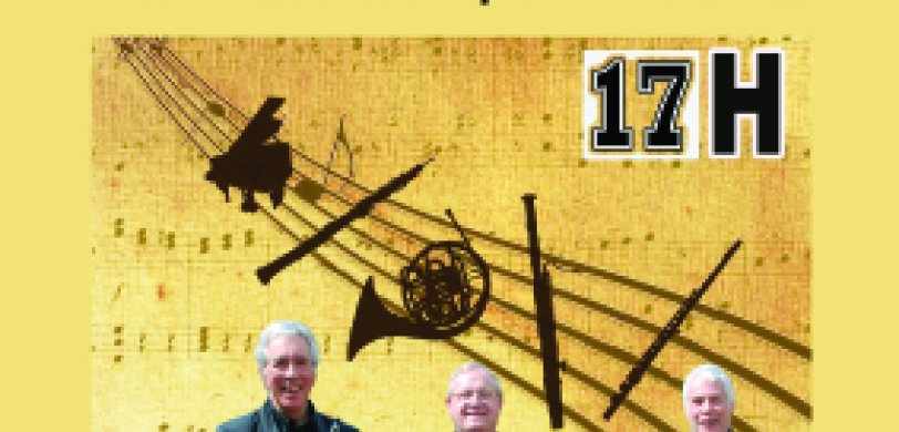 concert avec l'ensemble classique Briovère à Montfarville