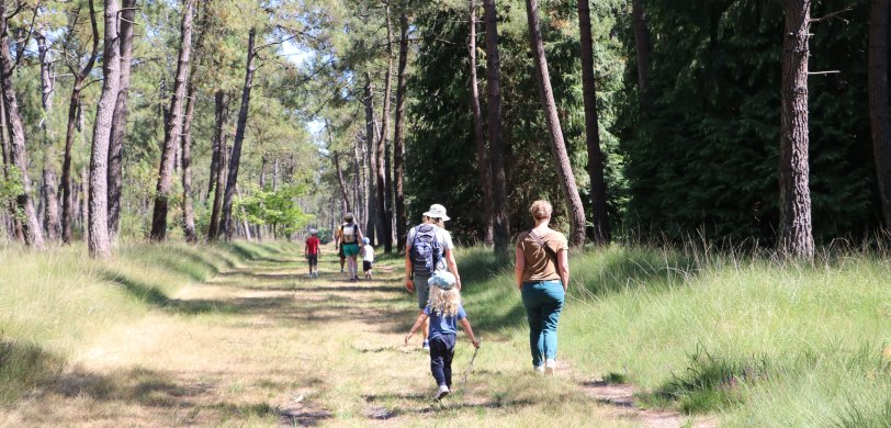 Éveil à la nature en forêt, spécial 3/6 ans