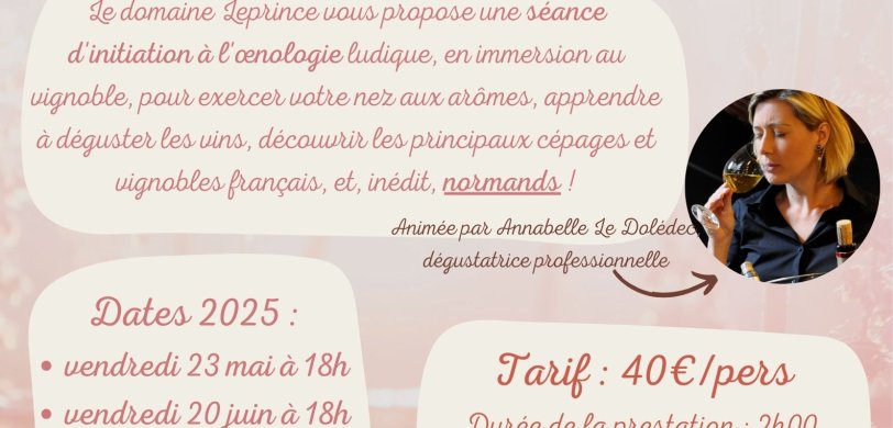 Atelier oenologie dans un vignoble normand