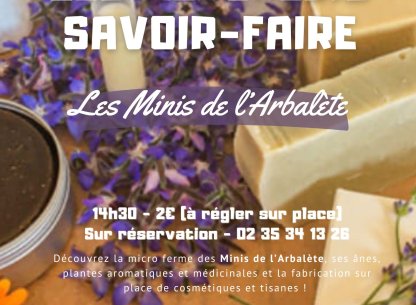 L'agenda des sorties avec Tendance Ouest