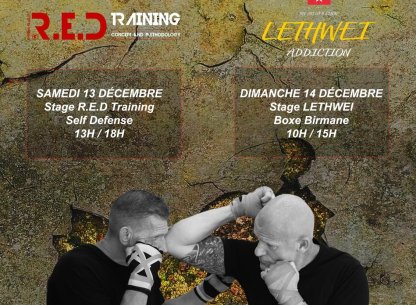 L'agenda des sorties avec Tendance Ouest