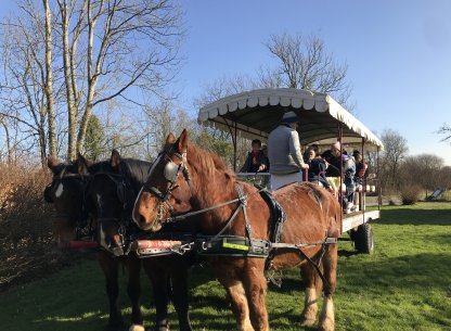 L'agenda des sorties avec Tendance Ouest