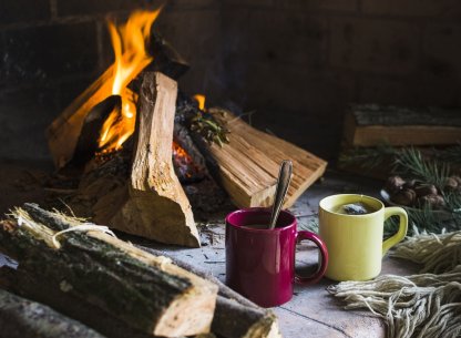 L'agenda des sorties avec Tendance Ouest