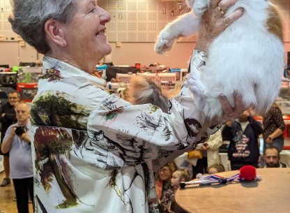 L'agenda des sorties avec Tendance Ouest